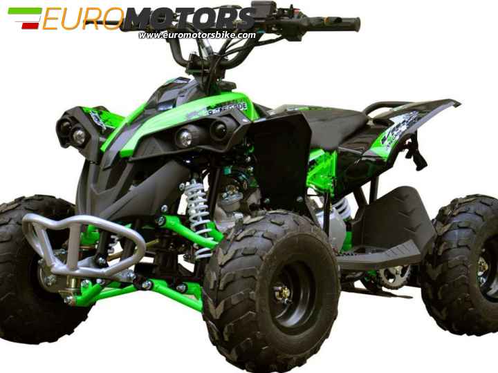 QUAD 110 RENEGADE